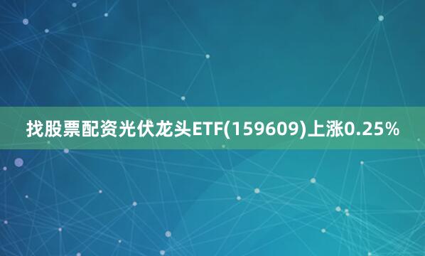 找股票配资光伏龙头ETF(159609)上涨0.25%