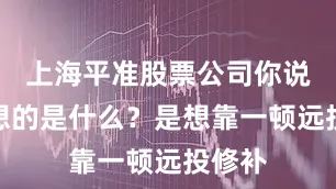 上海平准股票公司你说他们想的是什么？是想靠一顿远投修补